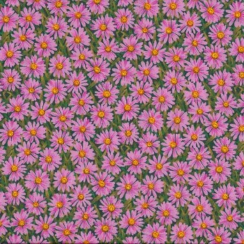 Emmas Flowers by Makower - Daisy Pink
